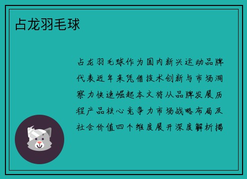 占龙羽毛球